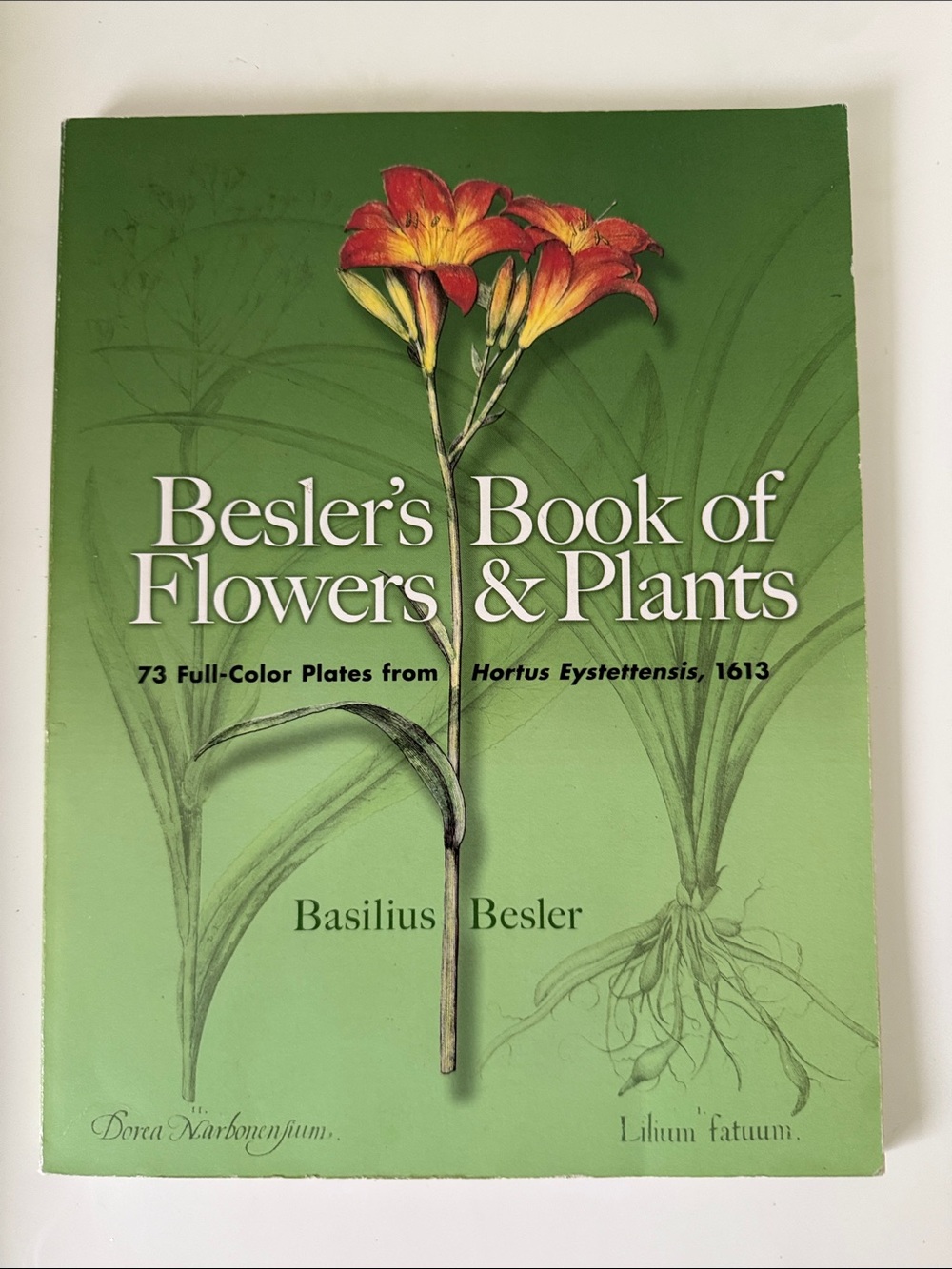 Besler’s Book of Flowers & Plants - 2007 Dover Publications